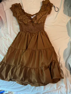 Brown Dress thumbnail 1