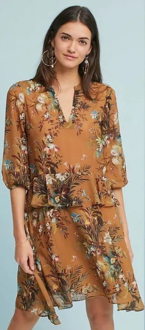 Anthropologie dRA Sheer Blouson Dress S Neutral Floral Chiffon Ruffle Office thumbnail 1