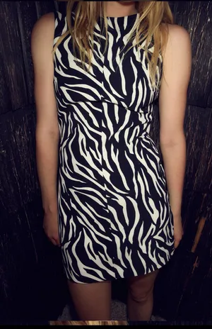 ZARA Zebra Animal Print Mini Dress thumbnail 4