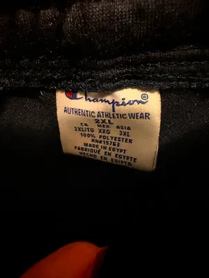 Champion Shorts thumbnail 4