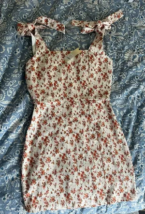 Francesca's Dress thumbnail 1