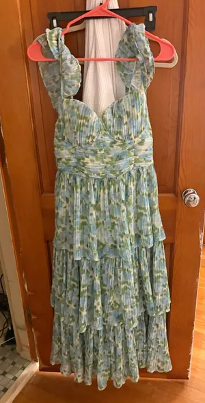Rachel Parcell Formal Dress thumbnail 1