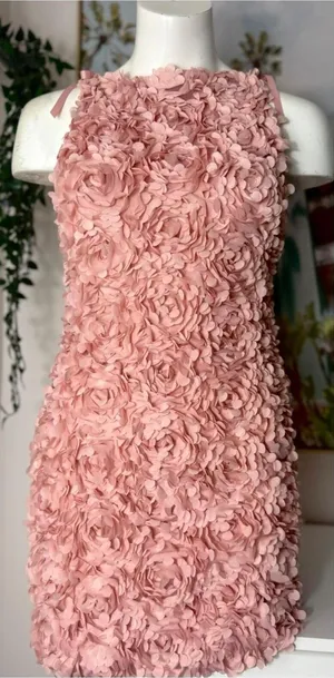 River Island Pink 3D Floral Mini Dress XS Petal Textured Bodycon Party thumbnail 1