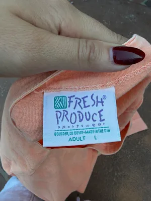 Both 90s Fresh Produce orange t-shirt with three small square graphics Sz L #90s #retro #outdoors #oversizedT thumbnail 6