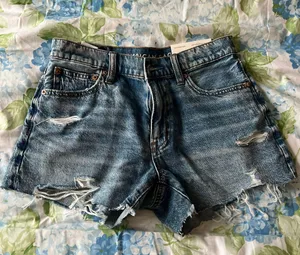 American Eagle Outfitters Shorts thumbnail 1