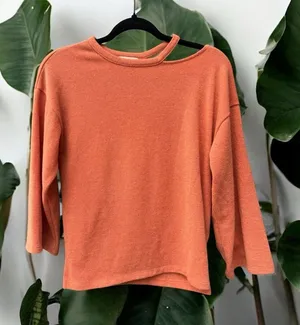 Zara Basics Collection Terracotta Top Size Small thumbnail 1