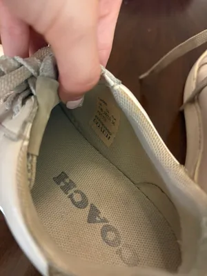 Coach Shoes thumbnail 5