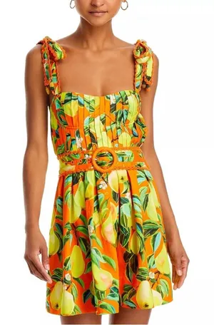 NWT FARM Rio Chic Pears Belted Mini Dress thumbnail 1