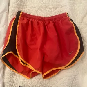 Nike Dri-Fit Shorts thumbnail 3
