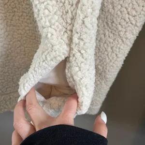Aerie Sherpa Pullover thumbnail 4