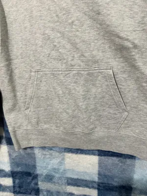 The North Face Light Gray Hoodie thumbnail 5