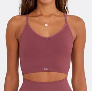 SET ACTIVE Sculptflex Ribbed V Bra in Canyon thumbnail 1