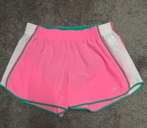 Dri-Fit Shorts thumbnail 1