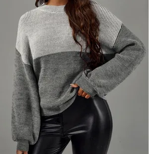SHEIN Colorblock Drop Shoulder Sweater  thumbnail 1
