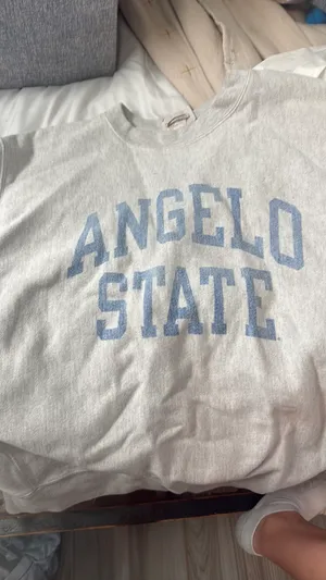 College Sweatshirt Champion thumbnail 2