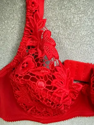 Red Lace Underwire Bra - Women Intimates & Sleepwear34/75 thumbnail 4