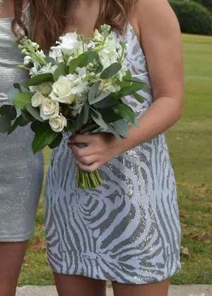 Zebra Silver Sequin Mini Dress thumbnail 4
