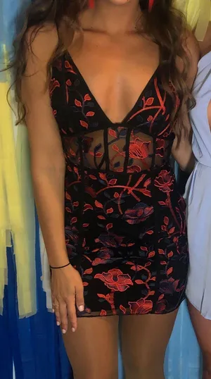 Tobi Lace Embroidered Dress thumbnail 1