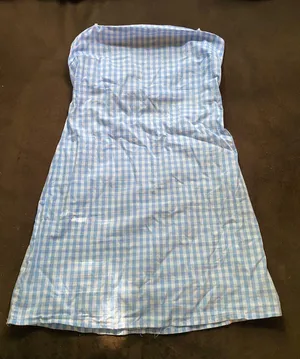 Light blue gingham dress thumbnail 1
