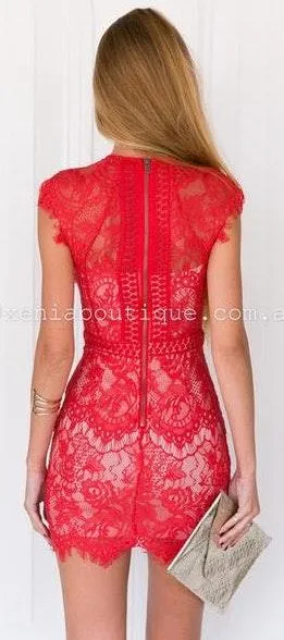 Xenia Boutique Jessica 2.0 Lace Dress thumbnail 4