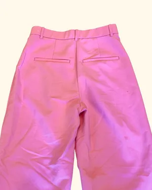 Abercrombie & Fitch Pink Pleated Pants Dress 28 6 Work High Waisted thumbnail 5