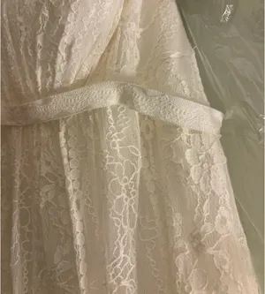 David's Bridal Galina Lace Wedding Dress thumbnail 3