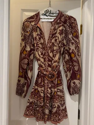 Farm Rio x Anthropologie Long-Sleeve Mini Swing Dress thumbnail 2