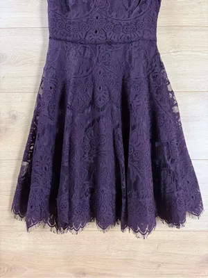 BB Dakota Dark Plum Lace Fit and Flare Mini Dress Size 0 thumbnail 6