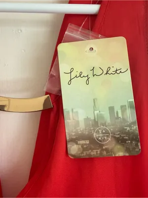 Lily White Red Sleeveless V-Neck Hi-Lo Tank thumbnail 3