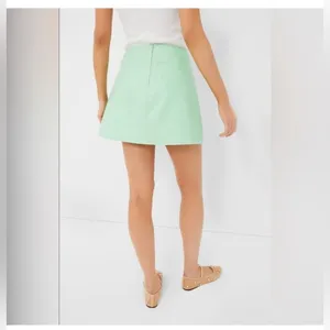Tuckernuck Meg Mini Skirt S Mint Green Faux Leather A-Line NWT Preppy thumbnail 2