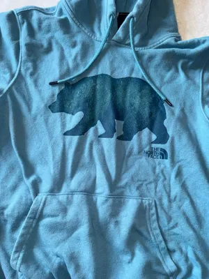 The North Face Hoodie thumbnail 3