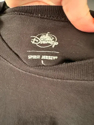 Disney Spirit Jersey thumbnail 2