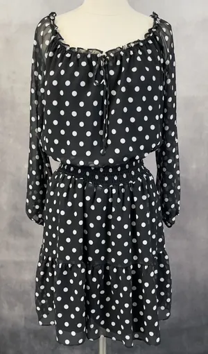 Boston Proper Polka Dot Dress Women Small Flowy‎ Smocked Preppy Parisian Chic thumbnail 1