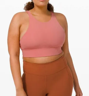 Lululemon Energy Bra High Neck Long Line Tough Brier Rose Pink 12 thumbnail 1