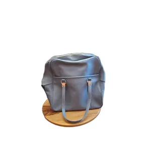 Vintage Sears, Roebuck and Company Luggage Bag Carry On Travel Bag Tote Baby Blu thumbnail 2