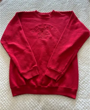 Wisconsin Badgers Crewneck Gildan thumbnail 1
