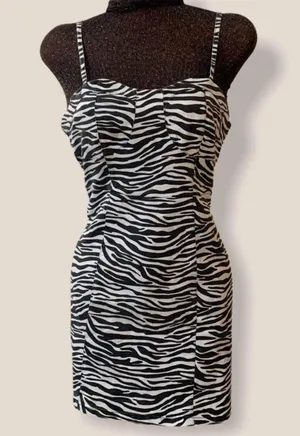 Zebra Print Sleeveless Dress thumbnail 1