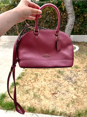 Coach Crossbody Handbag With Long Strap Gold Hardware Metallic Red/Pink thumbnail 1