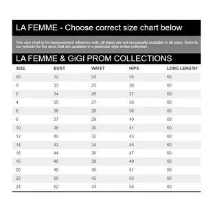 La Femme Elegant Chiffon‎ Gown Size 6 New with Tags thumbnail 9