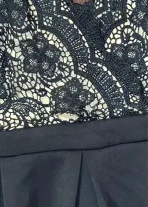 Francesca's Black Lace Dress thumbnail 4