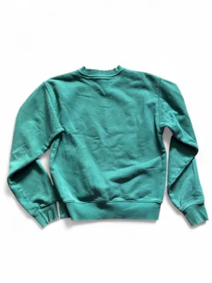Aritzia TNA Cozy Fleece Perfect Crew neck Sweatshirt Size XXS Forest Green thumbnail 3
