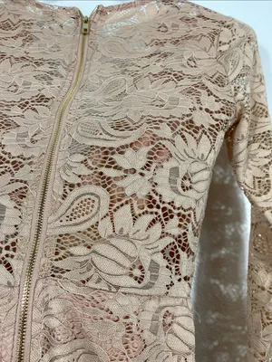 Windsor Long Sleeve Lace Bodycon Dress in Blush Size XS 90% Nylon thumbnail 8