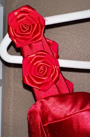 Boutique Red satin and mesh maxi prom dress thumbnail 9