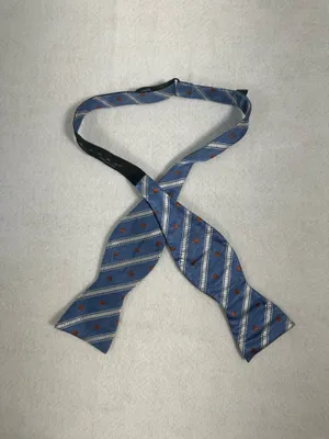 The Tie Bar Bow Tie Silk Mens Luxury Blue Adjustable Butterfly buckyball Tie thumbnail 2