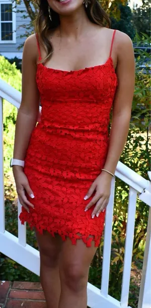 Bardot Red Lace Dress thumbnail 1