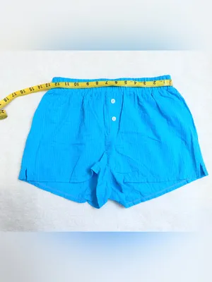 NWT Dippin Daisys Sundaze Boxer Short – Azure – XS thumbnail 9