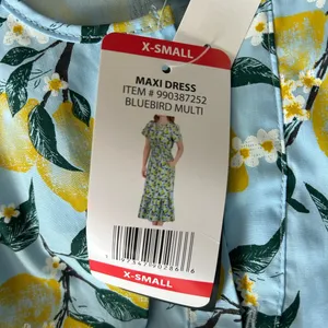 NWT French Connection Bluebird Lemon Maxi Dress thumbnail 5