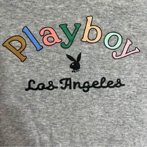 Playboy by PacSun Women's Medium Gray‎ Crop Top Long Sleeve Lettuce Hem thumbnail 2