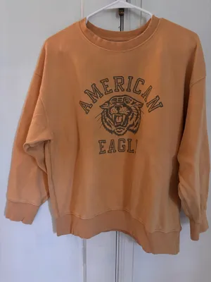 American Eagle Crewneck thumbnail 1