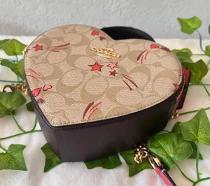 Coach Heart Crossbody In Signature Canvas With Heart And Star Print ck523 thumbnail 4
